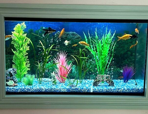 Palm Grove Retreat Fish Tank