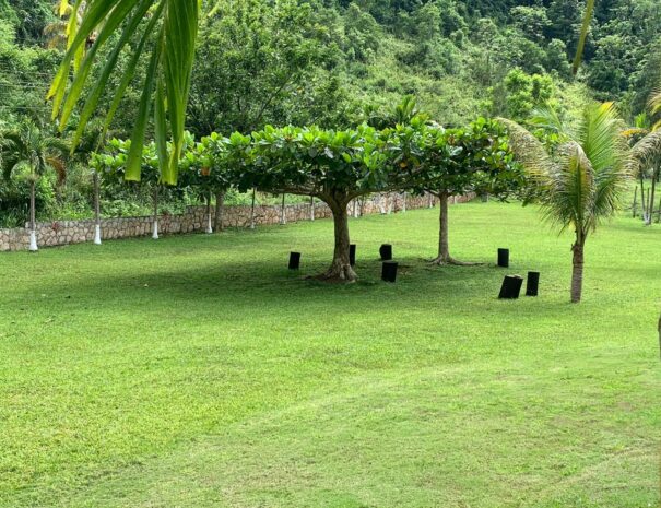 Palm Grove Retreat Outside (4)